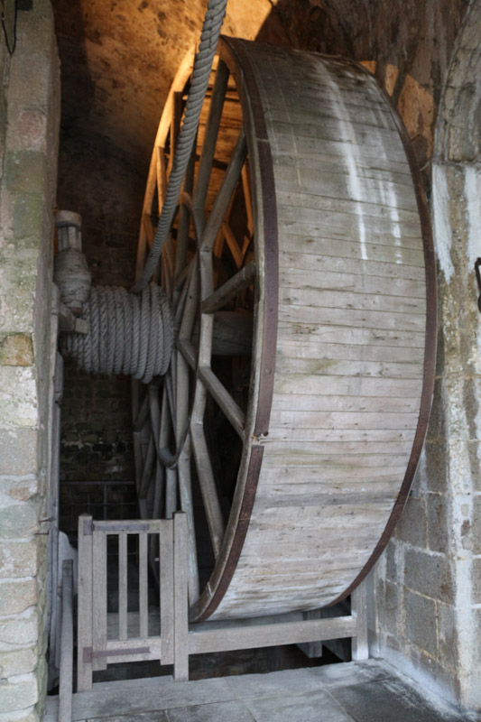 Treadwheel crane